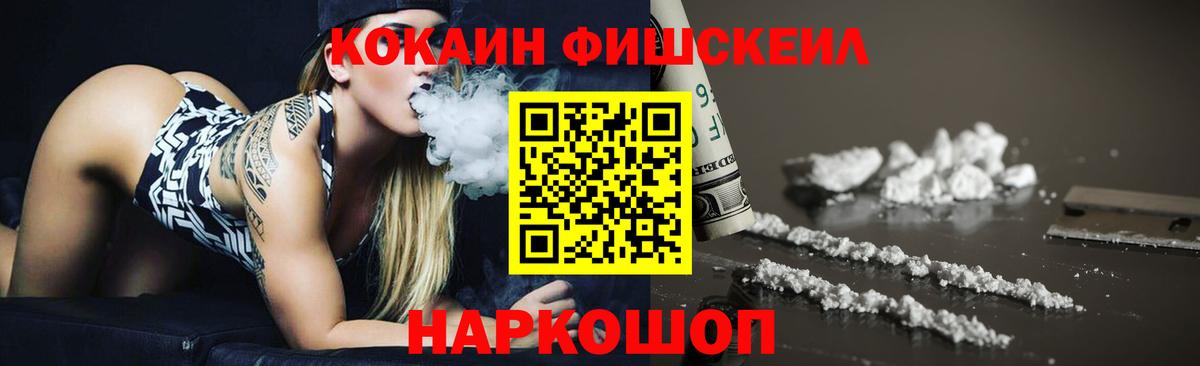 Cocaine FishScale Заводоуковск